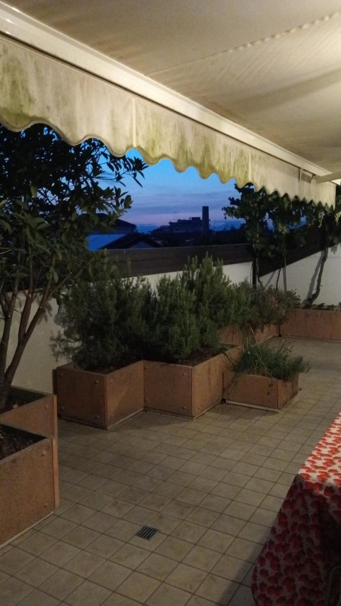 Attico Di Marisa Διαμέρισμα Codroipo Εξωτερικό φωτογραφία